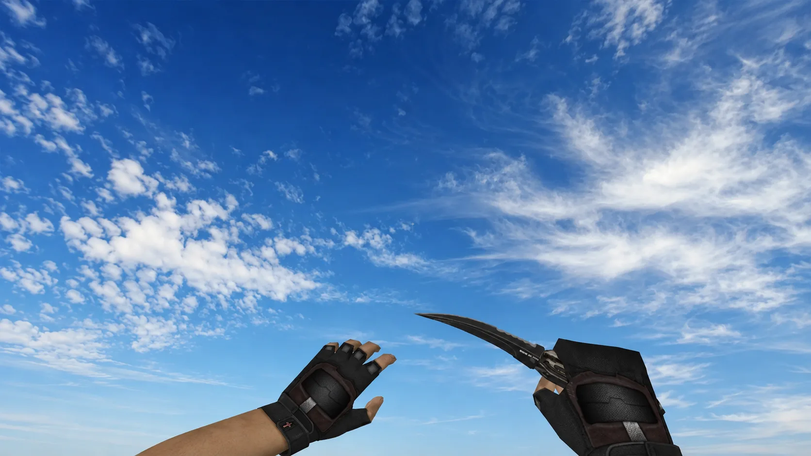 Folding knife “Black gloss” — 2