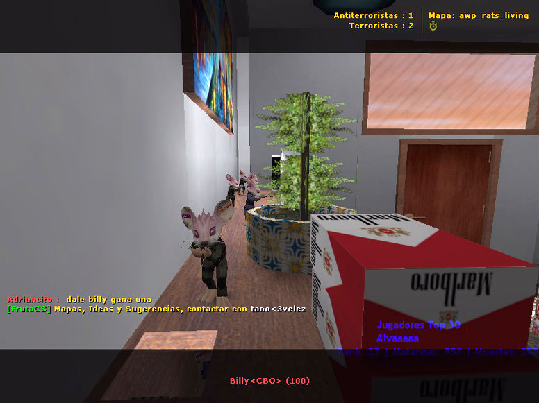 awp_rats_living