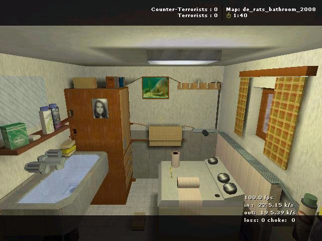 de_rats_bathroom_2008