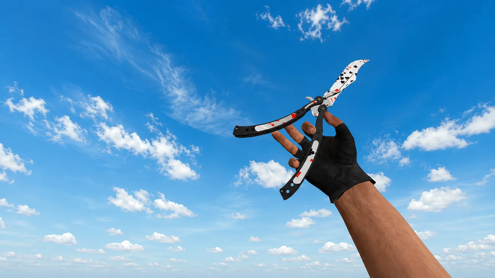 Knife "Butterfly Knife Acer" — 1